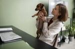 Why Every Veterinary Clinic Needs Expert Call Management?